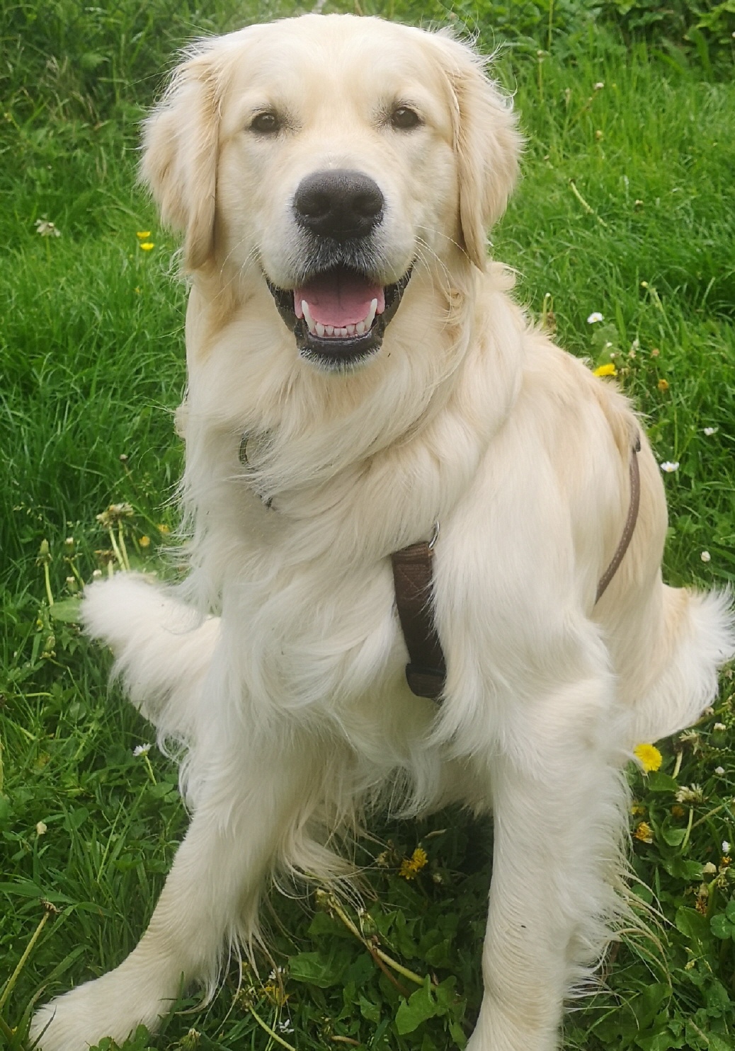 C.S.T.F.  Cheerful Clooney of Iona Abbey